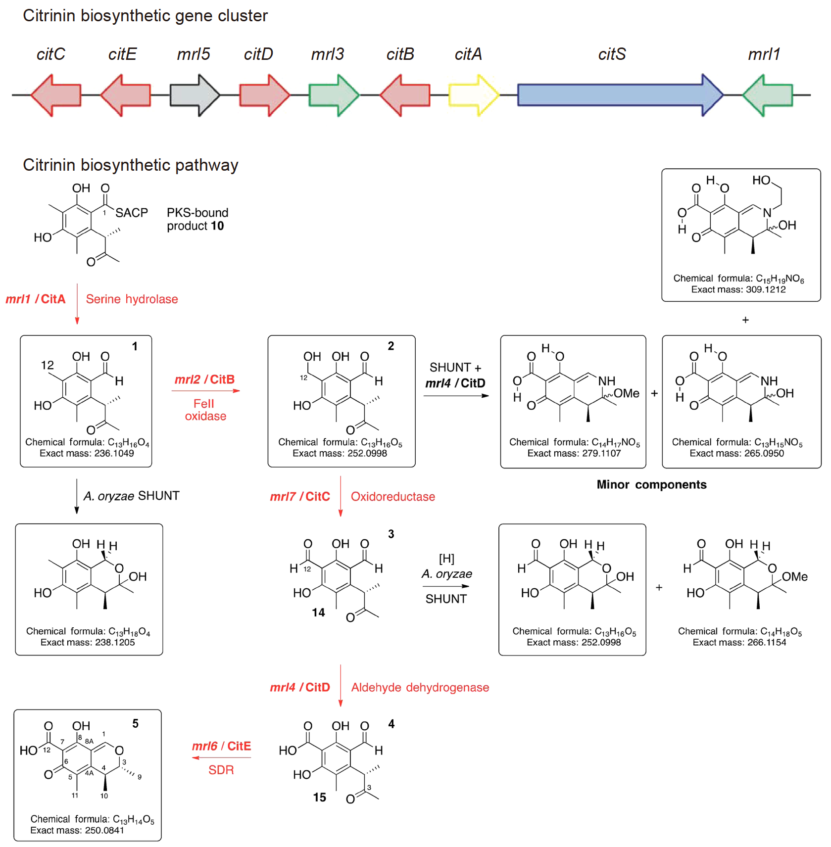 figures-de24fdbcfc954a6797f0f941ea7dc64d-TB-2022-0736-t5 figures-de24fdbcfc954a6797f0f941ea7dc64d-TB-2022-0736-t5