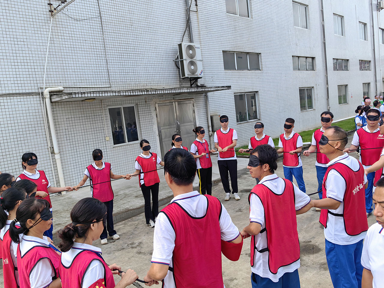 29 《盲人方陣》拓展訓(xùn)練